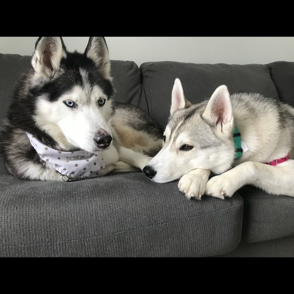 Meet your Posher, Erica - Picture 4 of 5